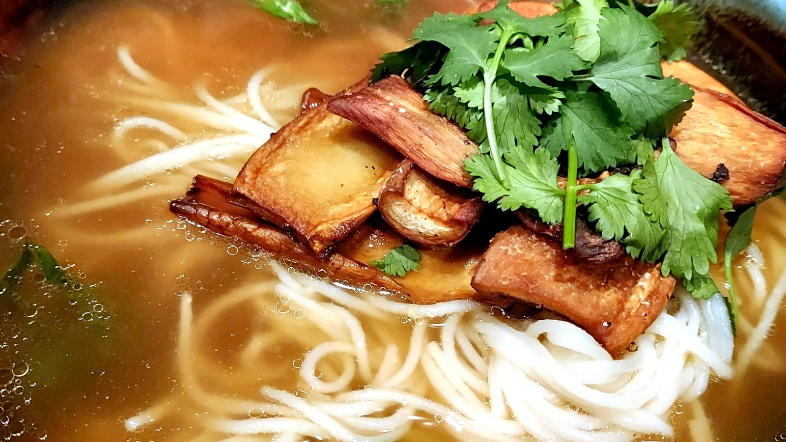Noodle soup with tofu and fresh cilantro